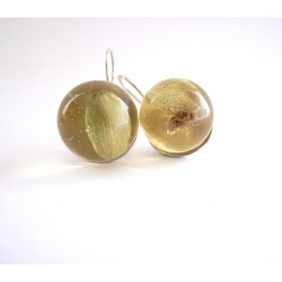 Resin earrings with cardamom inside silver 925 gold plated -Σκουλαρίκια ρητίνης με καρδαμο ασήμι 925 επιχρυσωμένο